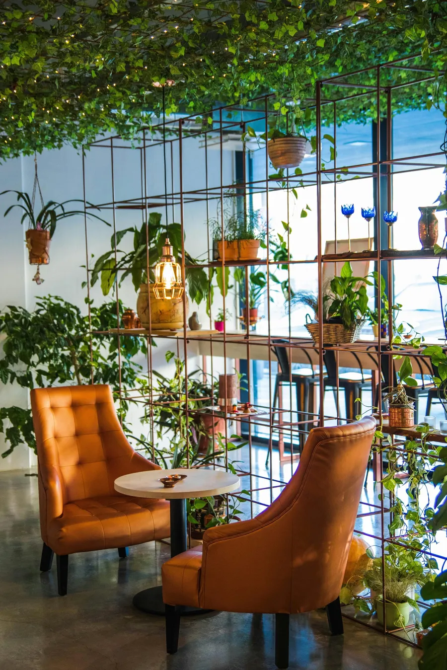 Ihr schweizer partner für exklusive garten- und outdoor-produkte